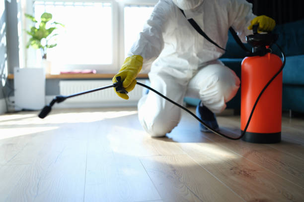 Flea Control Services in Frazee, MN