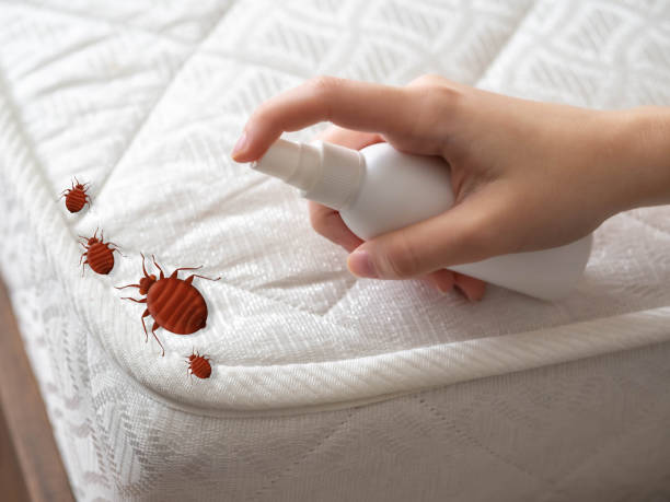 Best Commercial Pest Control Services  in Frazee, MN