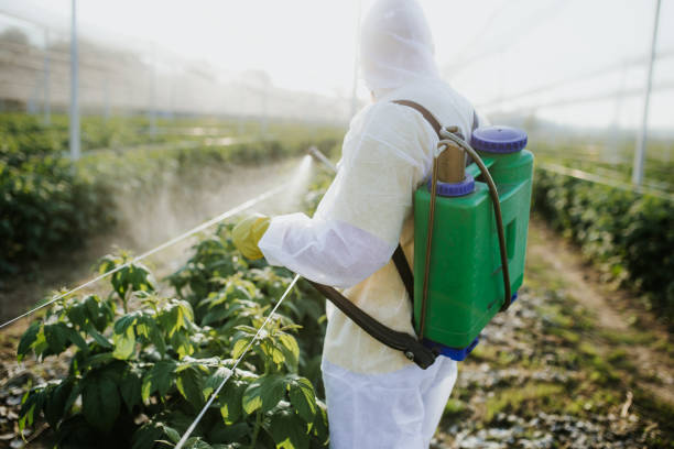 Frazee, MN Pest Control Company
